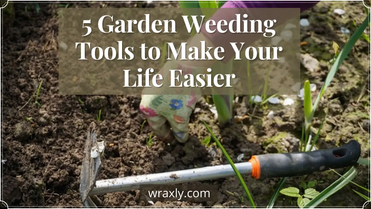 5 Tools to Make Weeding Easier