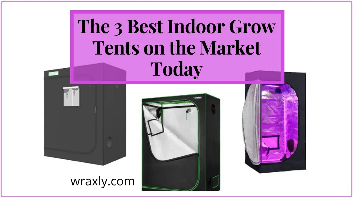 The 3 Best Indoor Grow Tents on the Market Today