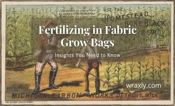 Fertilisation dans des sacs de culture en tissu