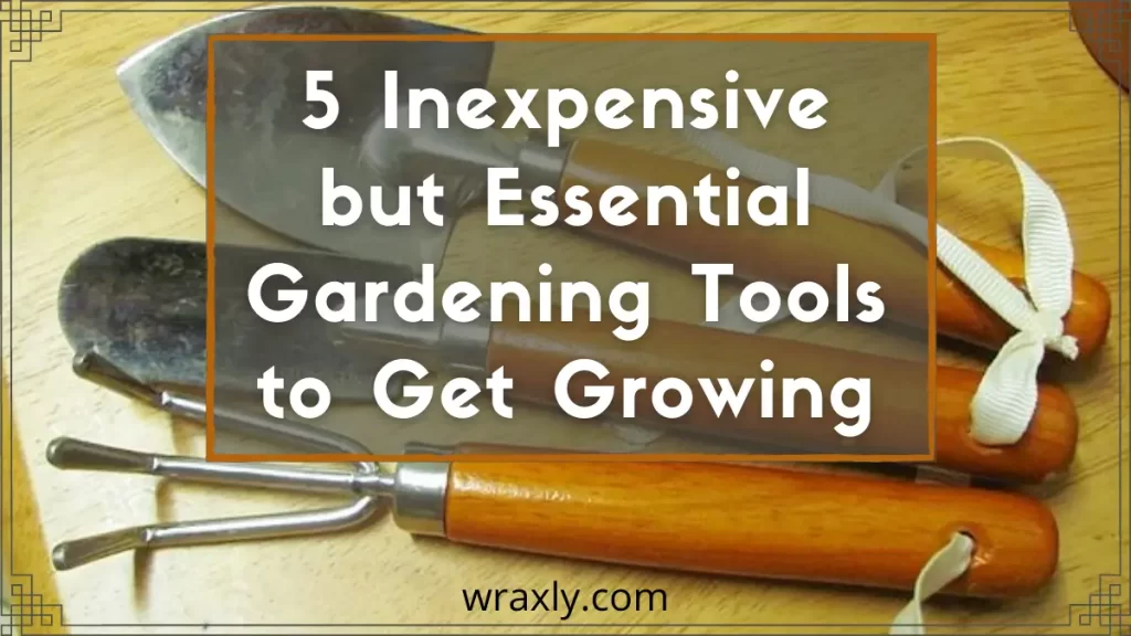 5 outils de jardinage peu coûteux mais essentiels pour se développer
