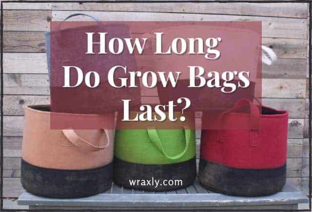 Wie lange halten Grow Bags?