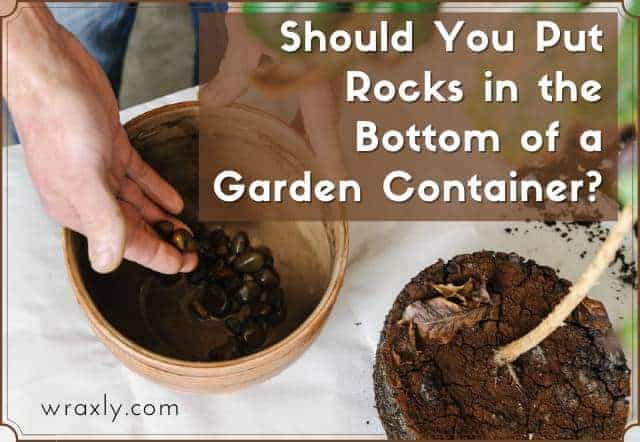 Should You Put Rocks in the Bottom of a Garden Container?