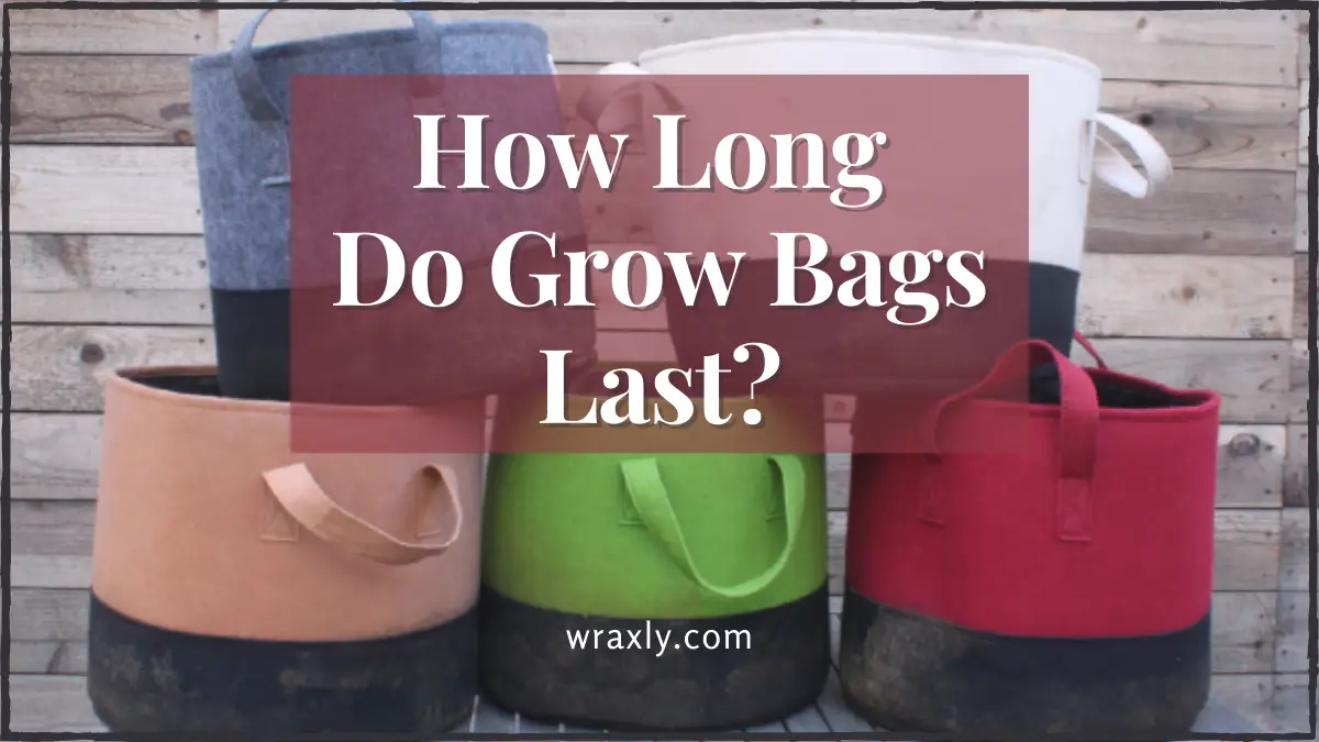 How Long Do Grow Bags Last