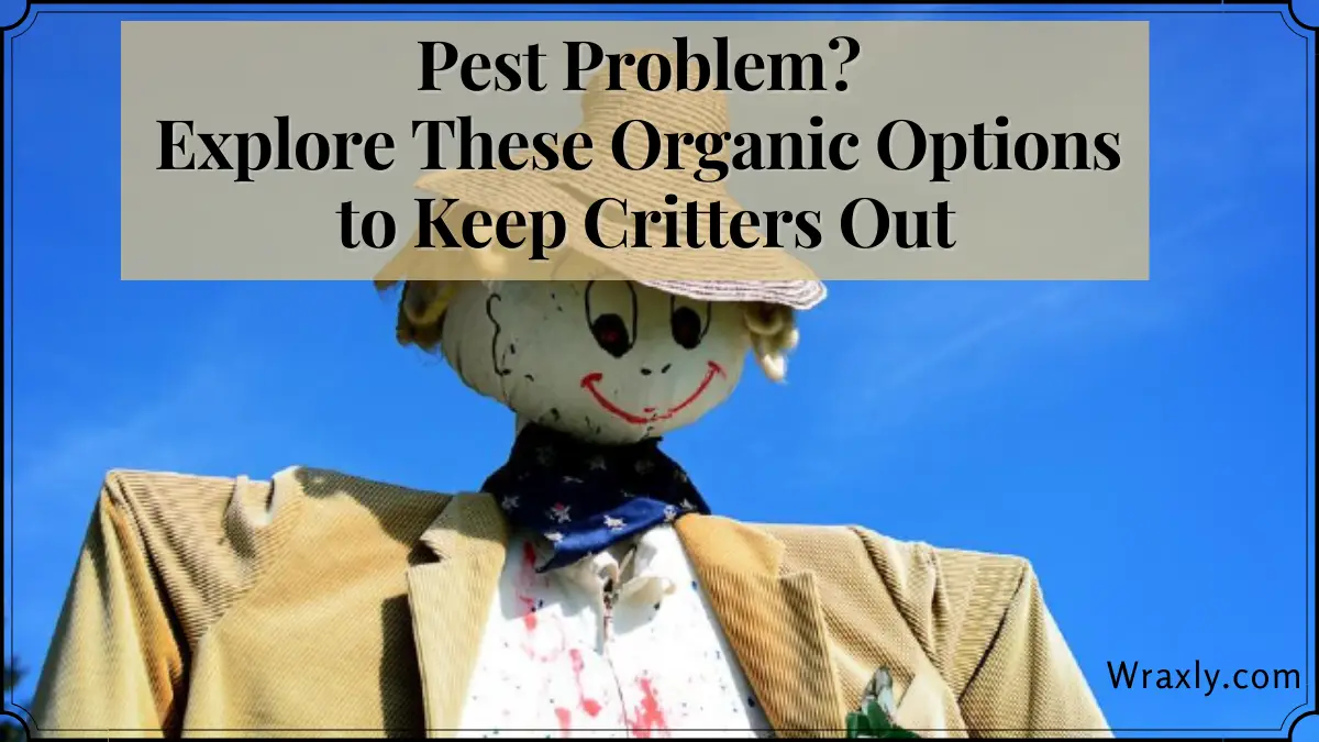 Pest Problem Explore These Organic Options to Keep Critters Out