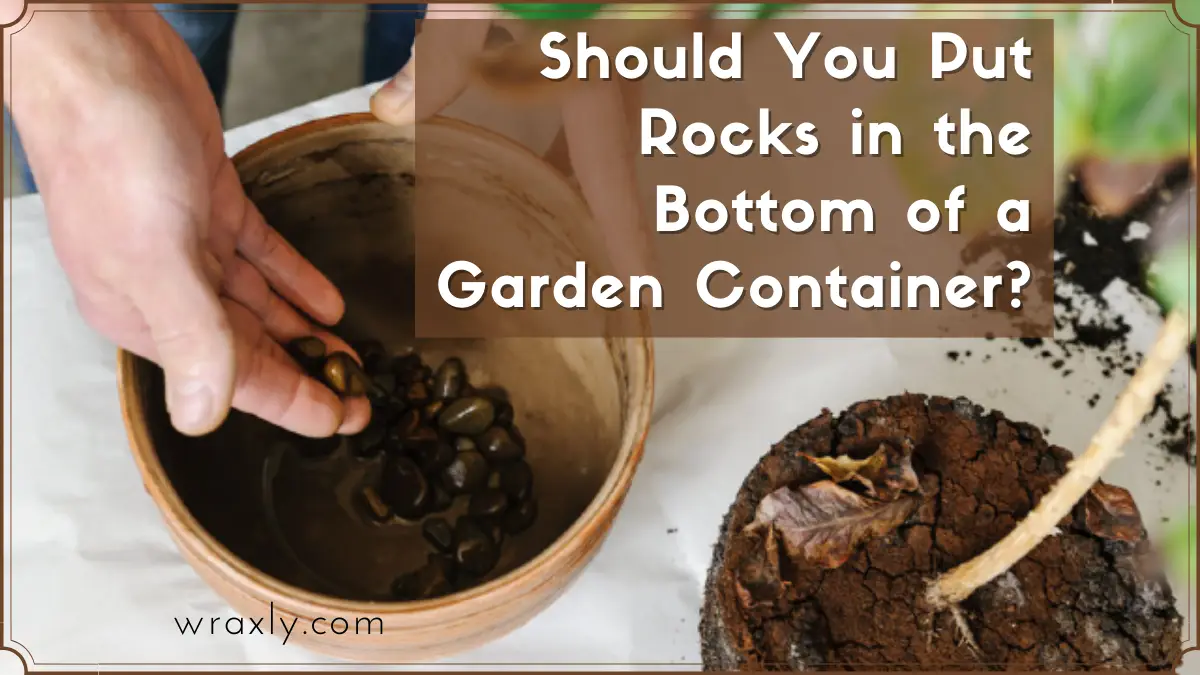 Should You Put Rocks in the Bottom of a Garden Container