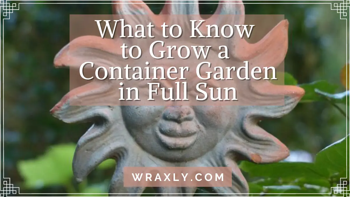 Was Sie wissen sollten, um einen Containergarten in voller Sonne anzubauen