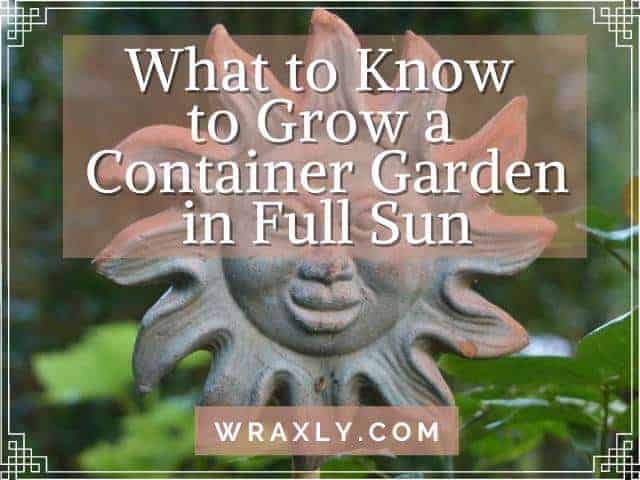 What to Know to Grow a Container Garden in Full Sun