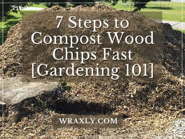 7 Steps to Compost Wood Chips Fast [Gardening 101]