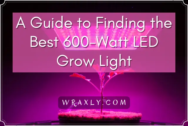 A Guide to Finding the Best 600-Watt LED Grow Light