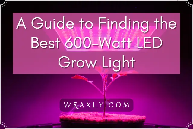 Isang Gabay sa Paghahanap ng Pinakamahusay na 600-Watt LED Grow Light