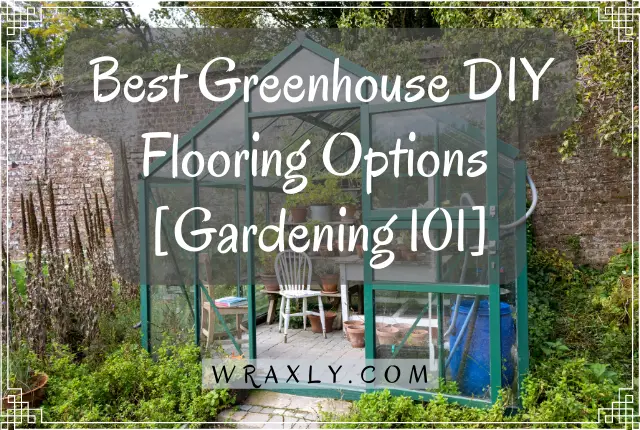 Best Greenhouse DIY Flooring Options [Gardening 101]