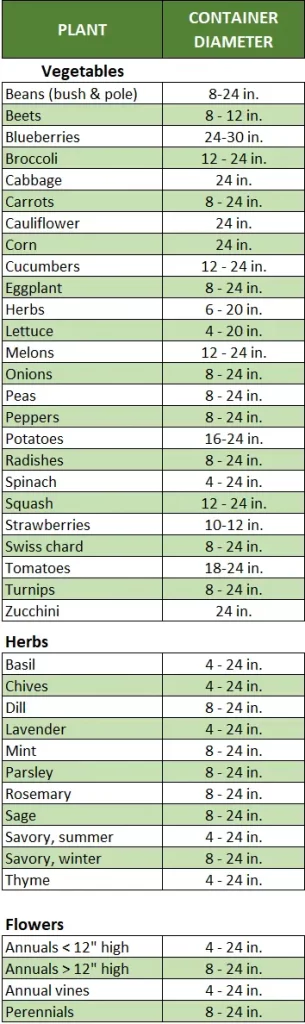 Tamaños de contenedores para plantas.