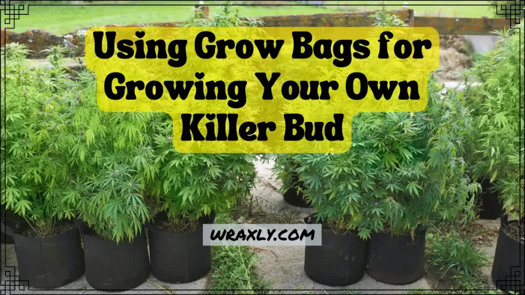 Using grow bags for growing your own killer bud