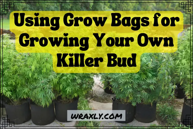 Using grow bags for growing your own killer bud