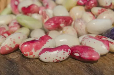 Speckled butter bean