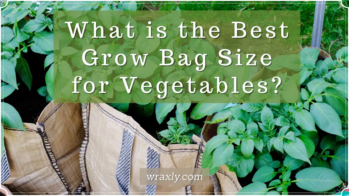 qual è la dimensione migliore del sacchetto per la coltivazione delle verdure
