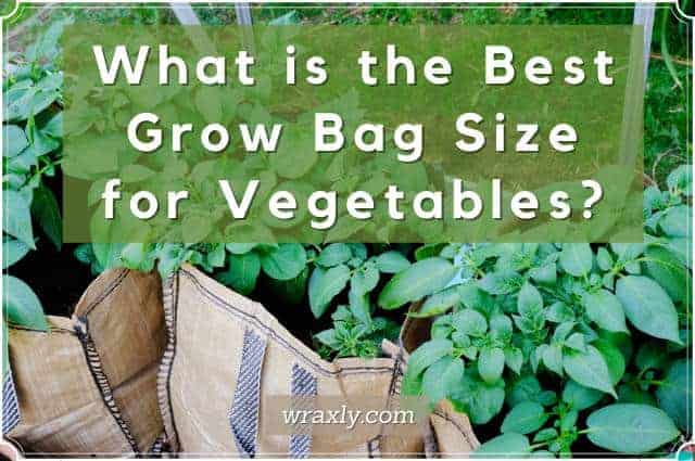 what is the best grow bag size for vegetables