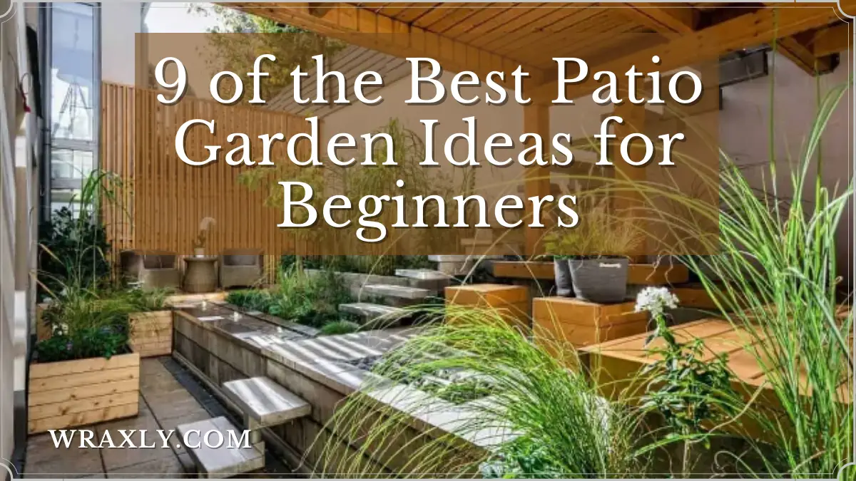 9 of the best patio garden ideas for beginners