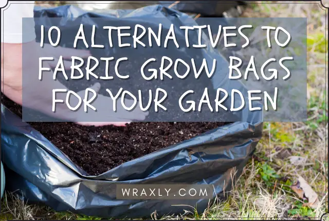 10 Alternatives to Fabric Grow Bags for Your Garden