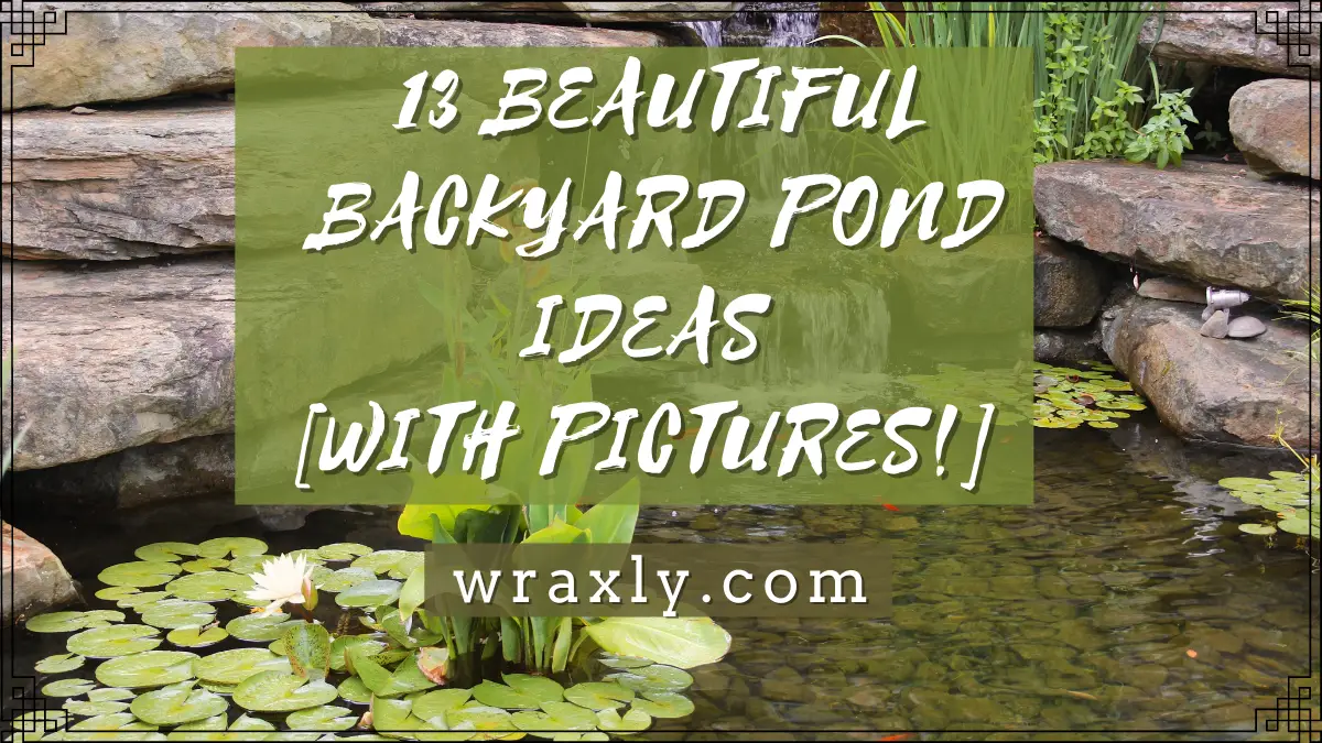 13 hermosas ideas para estanques en el patio trasero [¡con fotos!]