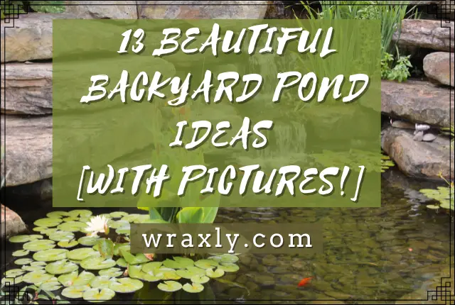 13 belles idées d'étangs d'arrière-cour [avec photos !]