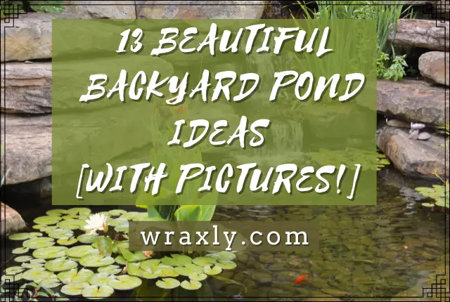 13 Magagandang Backyard Pond Ideas [may mga Larawan!]