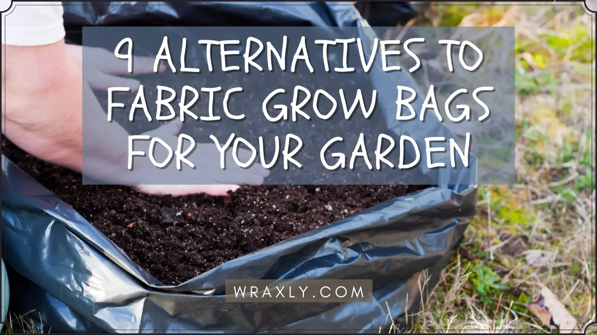 Growing Potatoes in Grow Bags from Planting to Harvest - Squire's Garden  Centres
