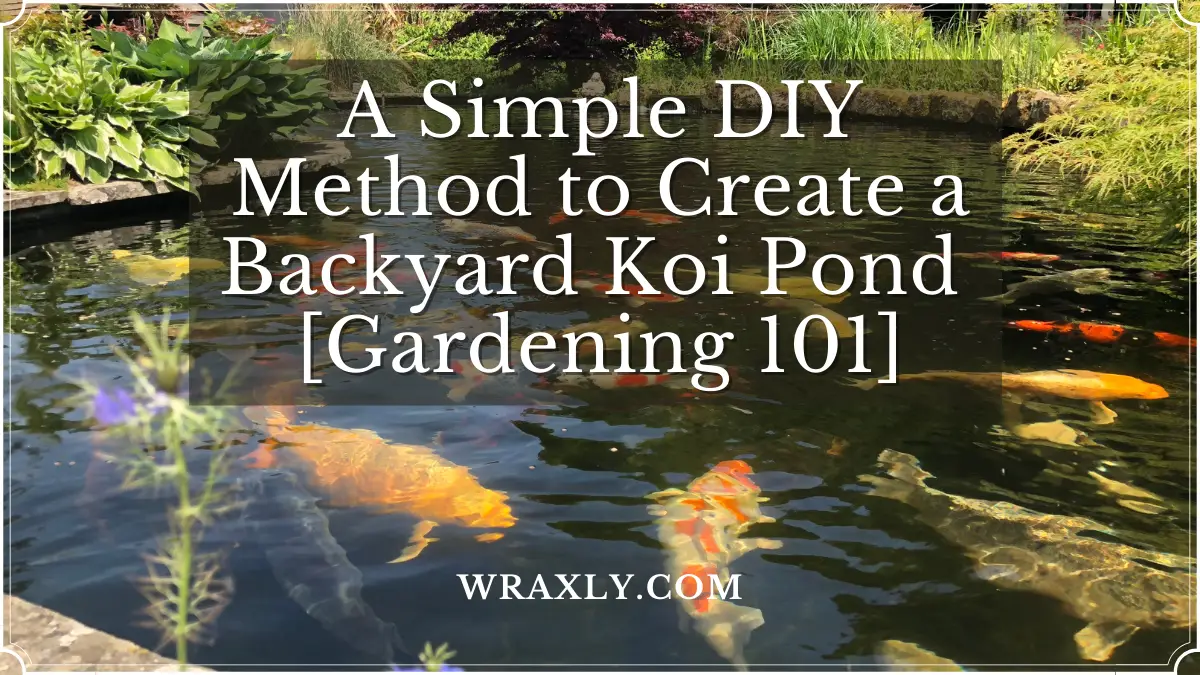 Une méthode de bricolage simple pour créer un étang de koi dans le jardin [Jardinage 101]