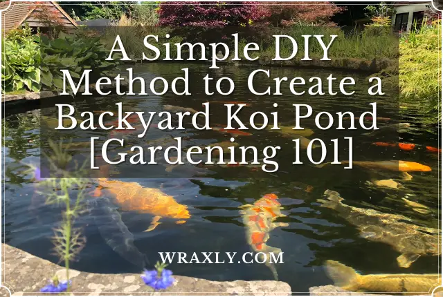 A Simple DIY Method to Create a Backyard Koi Pond [Gardening 101]