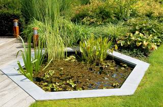 Geometric pond