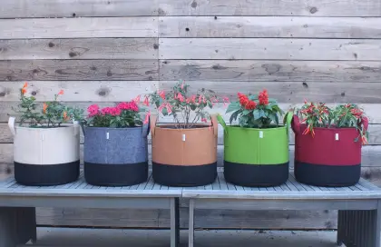 Pflanzbeutel können Ihrem Garten Farbe verleihen.