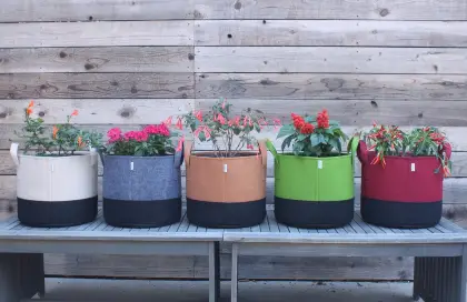 Las bolsas de cultivo pueden agregar color a su jardín.