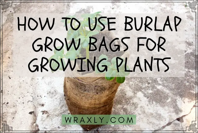 How to Use Burlap Grow Bags for Growing Plants