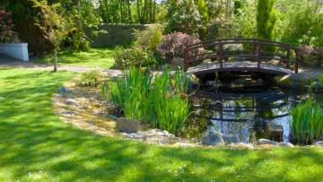 pond with a bridge