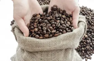 coffee beans come in burlap bags