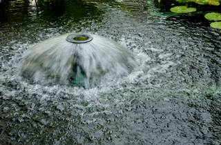 Bassin de la fontaine