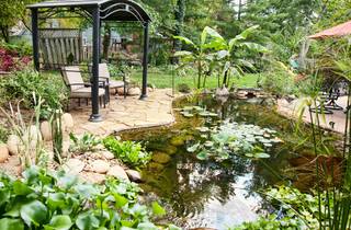 Naturalistic backyard pond