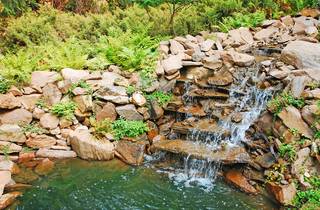 Teich mit Wasserfall