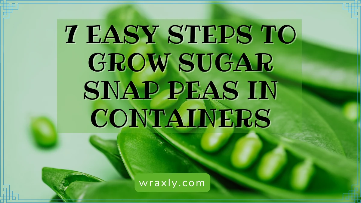 7 eenvoudige stappen om Sugar Snap Peas in containers te laten groeien