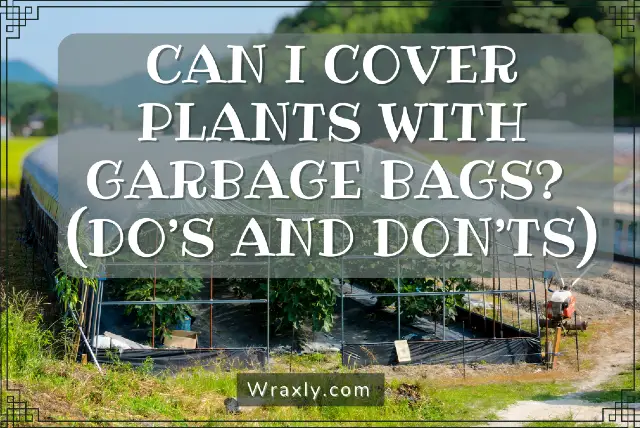 Can I cover plants with garbage bags?