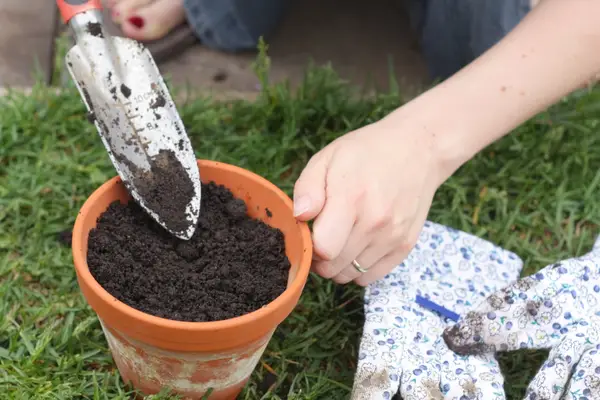 Filling a ceramic pot with soil