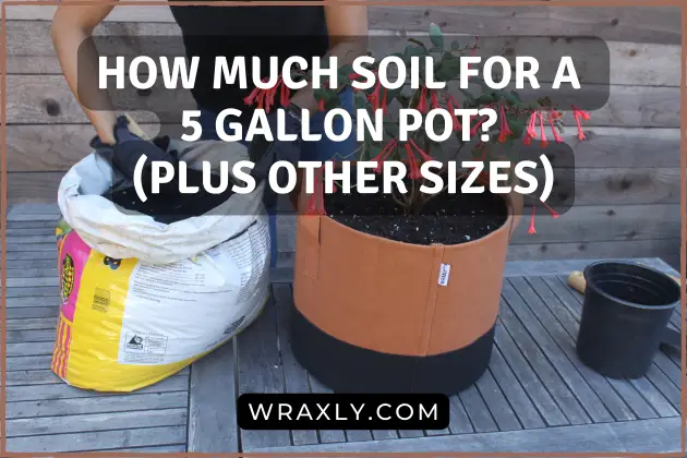 How much soil for a 5 gallon pot?