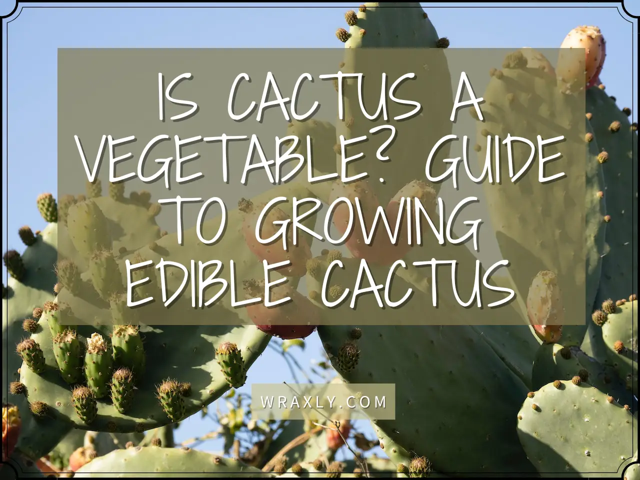 Le cactus est-il un guide végétal pour cultiver des cactus comestibles