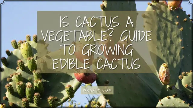 Is cactus een groente? Gids voor het kweken van eetbare cactussen