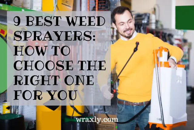 9 best weed sprayers: how to choose the right one for you
