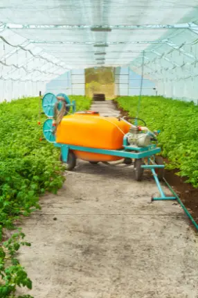 Tank sprayer in green house