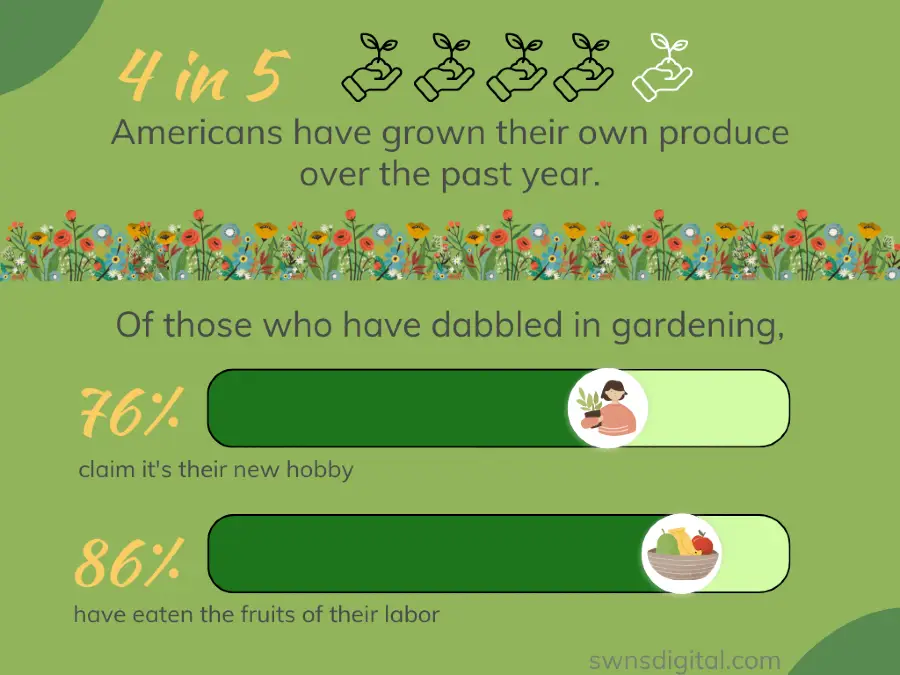 Gráfico: quantos americanos cultivaram seus próprios produtos no ano passado.