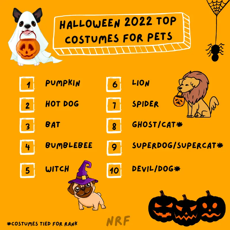 I migliori costumi di Halloween 2022 per animali domestici