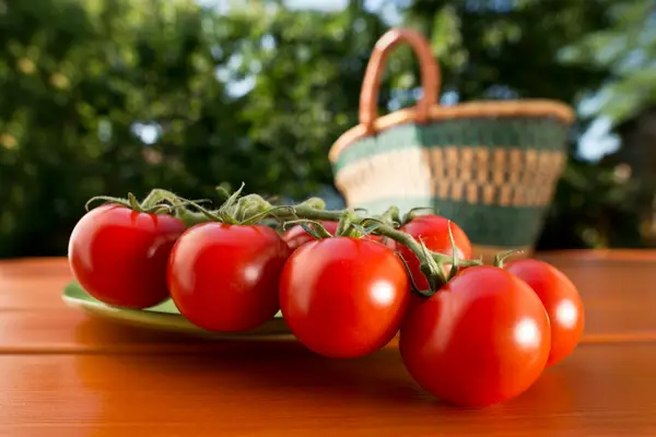 Red tomatoes on a table with a basket in soft focus in the background.