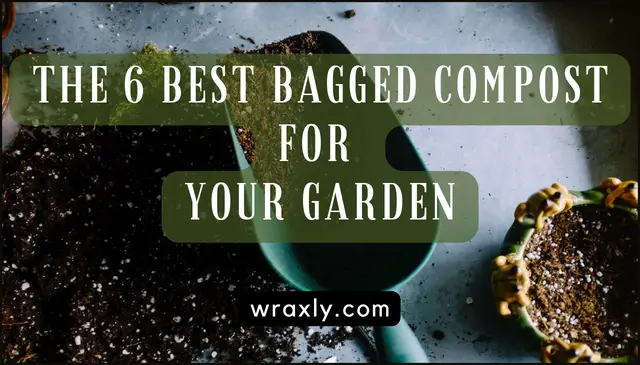 Les 6 meilleurs composts en sac pour votre jardin